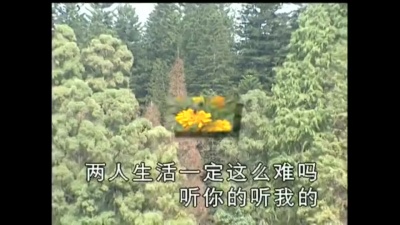 彭羚 - 好好爱