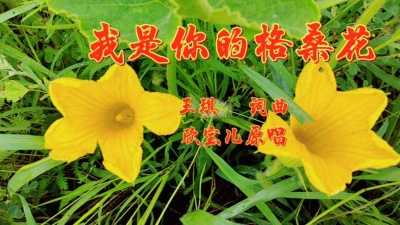 红枫 - 一首歌一个故事，一段情一生咏叹。