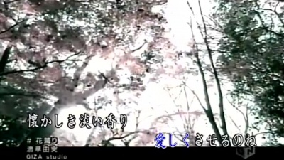 齐栾 - 风舞桃花