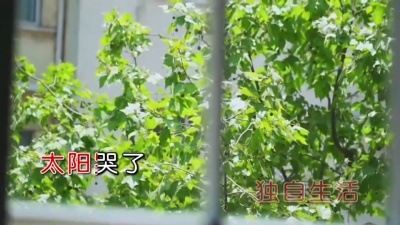 于小磊 - 请你不要说