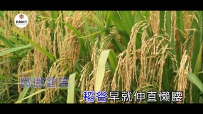 萧郎 - 风中女孩