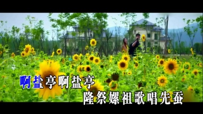叶俊华 - 丝光