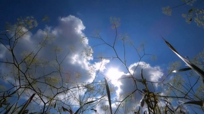 画轩 - 余情未了