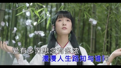 潘婉婷 - 苦衷
