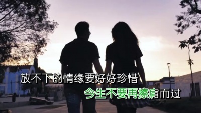 海丽、轻舞飞翔 - 愿意陪你不离不弃