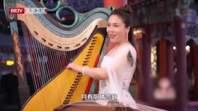 王妮娜、桑玉立、桑婷婷、鲁璐 - 但愿人长久