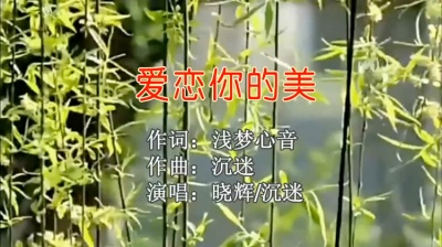 沉迷 - 爱恋你的美（对唱版）