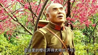 健康美食 - 完结篇 一部被名字耽误的高分电影 #赛德克巴莱   #推荐电影