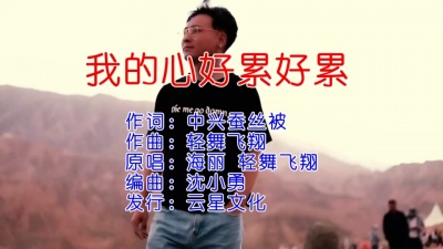 海丽、轻舞飞翔 - 我的心好累好累