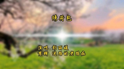 迷路的老路痴 - 绣荷包