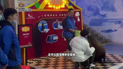 一分钟漫游指南 - 春节带爱人小朋友来海底世界吧,各种海洋生物和人鱼海豚海狮表演等你哦#海洋生物 #海底世界