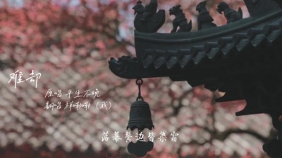豆豆果 - 祥嘞嘞《难却》