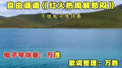 万胜 - 万胜电子琴（山曲红火热闹解愁闷）