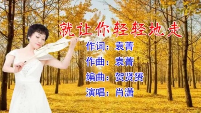 肖潇 - 就让你轻轻地走