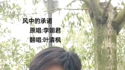 叶清枫 - 风中的承诺翻唱