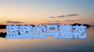 王寅观 - 蓝蓝的马莲花