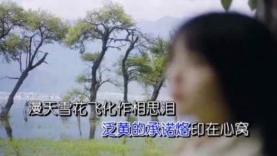 紫竹微风 - 雪花化作相思泪