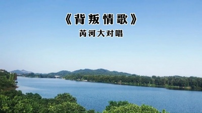豆豆果 - 芮河大对唱《背叛情歌》饭制版