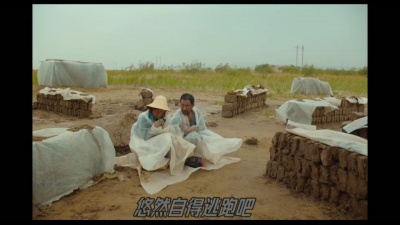 豆豆果 - 强小薇《马》饭制版