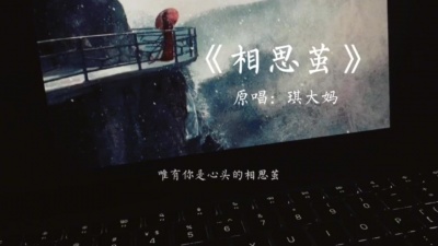 琪大妈 - 相思茧