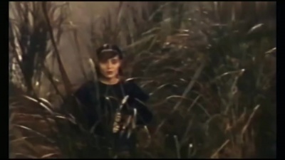 高胜美 - 彩云伴海鸥
