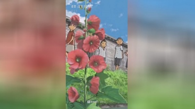 豆豆果 - 田阿依《稻香》温柔女声版