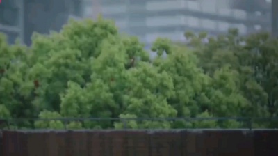 DJ辉仔 - 你还是离我而去—大雨点儿