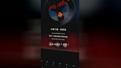 刘兆宇 - 乌梅子酱