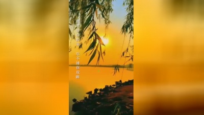 豆豆果 - 房雪娇《无情酒》饭制版