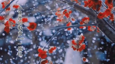 天涯一小鱼 - 一捻红