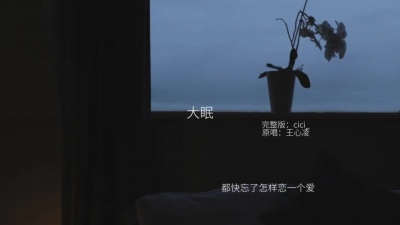 豆豆果 - cici_ 《大眠》
