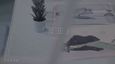 张齐山DanieL - 反正