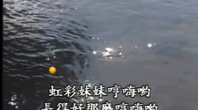 小白玉霜 - 虹彩妹妹邓丽君伴奏