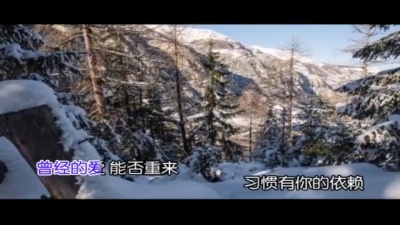 高圆儿 - 望月情思