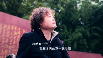 杨学峰 - 真我永恒