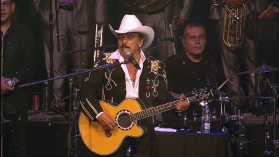 Joan Sebastian - Me Gustas