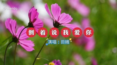 星辰音乐 - 《倒着说我爱你》演唱:田娥