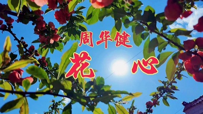 红枫 - 舞落成泥魂与共，脱枝作絮耀苍穹。东坡秉烛书花赋黛玉焚笺泪染虹