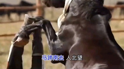 账号已注销 - 精忠报国(伴奏版)