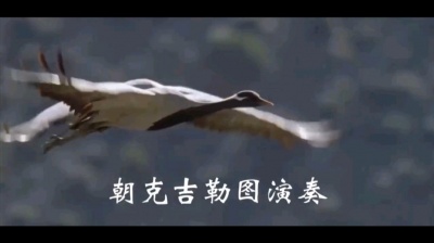 萧民制作 - 远飞的大雁~马头琴独奏音乐版
