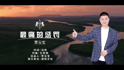 贾玉宝 - 最痛的惩罚