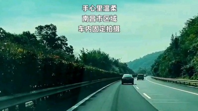 罗 - 手心里的温柔