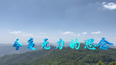 田赛背 - 今夜无力的思念MV