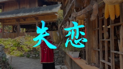 田赛背 - 失恋MV