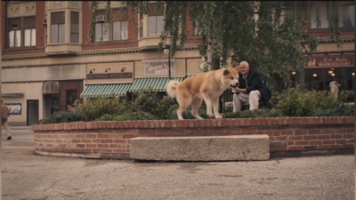 雅典娜 - 感动到哭的电影《忠犬八公》重温经典