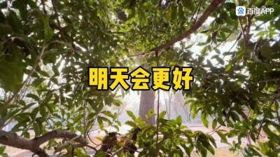 简-默 - 《明天会更好》

酷友8人合唱🌸🌺
