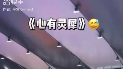 凡尘 - 《心有灵犀》#平常心-myd
