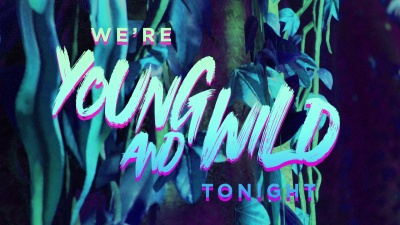 Marnik、OsTEKKe - Young And Wild