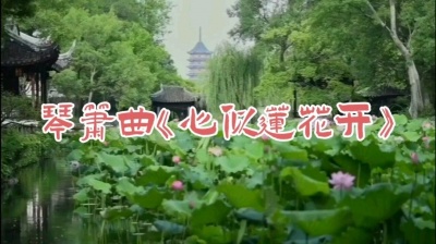人海茫茫 - 《心似莲花开》一叶一菩提，一花一世界。一念一清静，心似莲花开