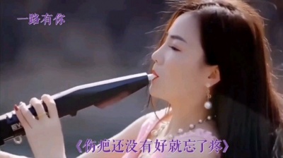 喜欢就好 - 伤疤还没好就忘了疼电吹管纯音乐